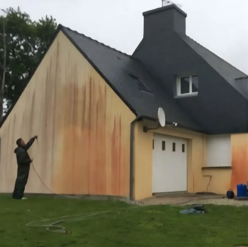 nettoyage-facade-avant