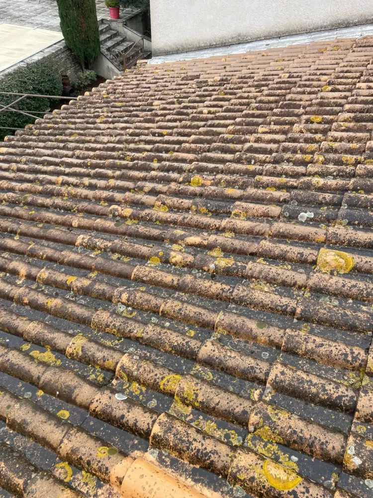 Nettoyage de toitures (6)