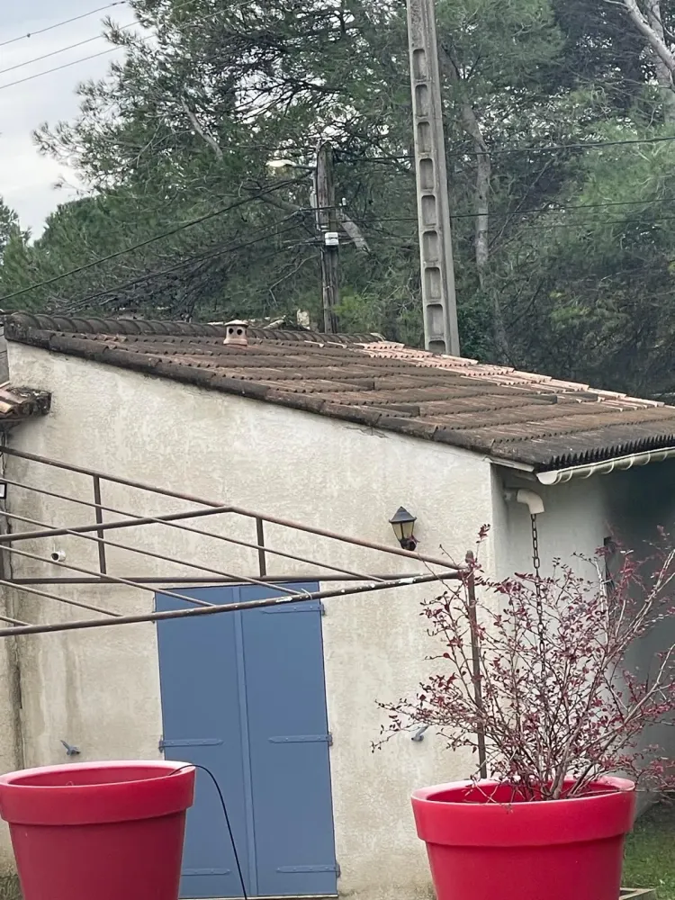 Nettoyage de toitures (7)