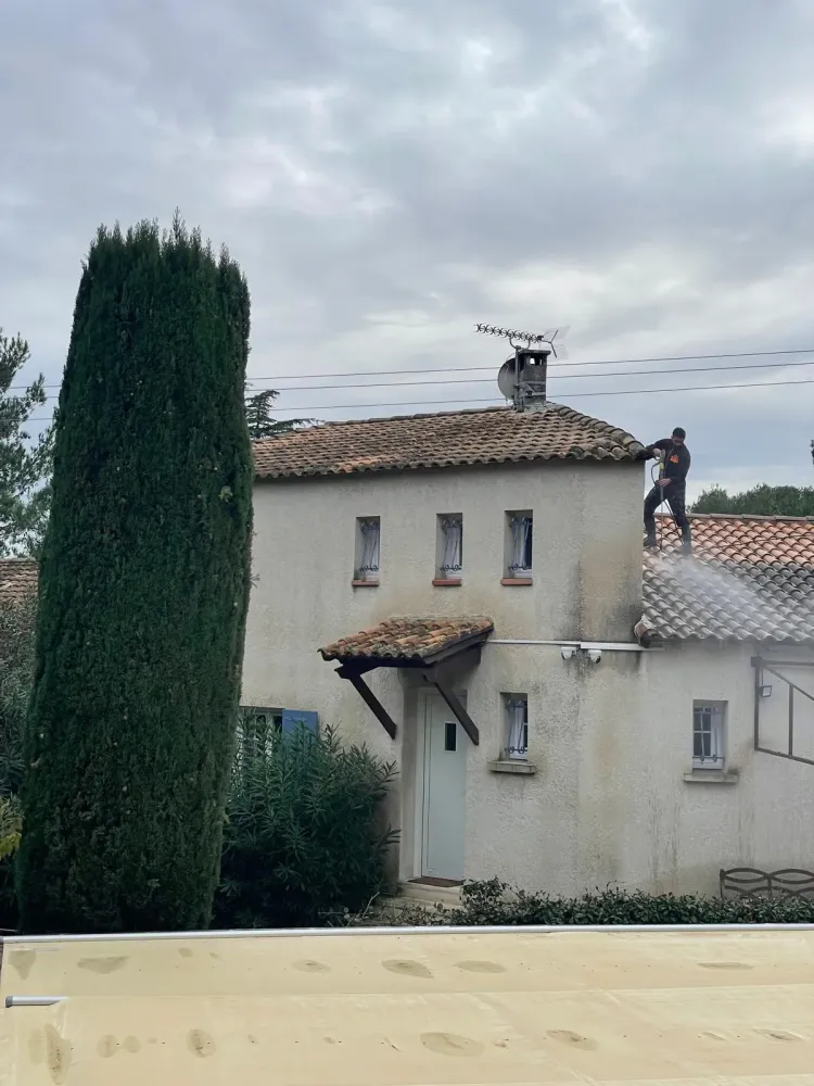 Nettoyage de toitures (8)