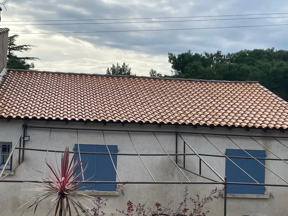 Nettoyage de toitures (2)