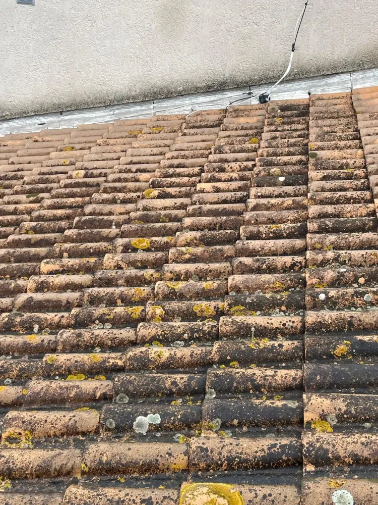 Nettoyage de toitures (4)